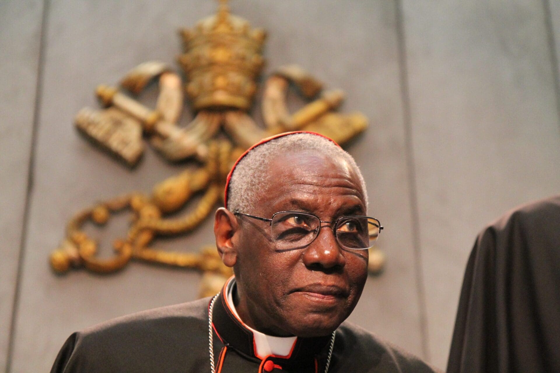Cardinal Sarah says he has ‘never opposed the pope’ in first interview since stepping down