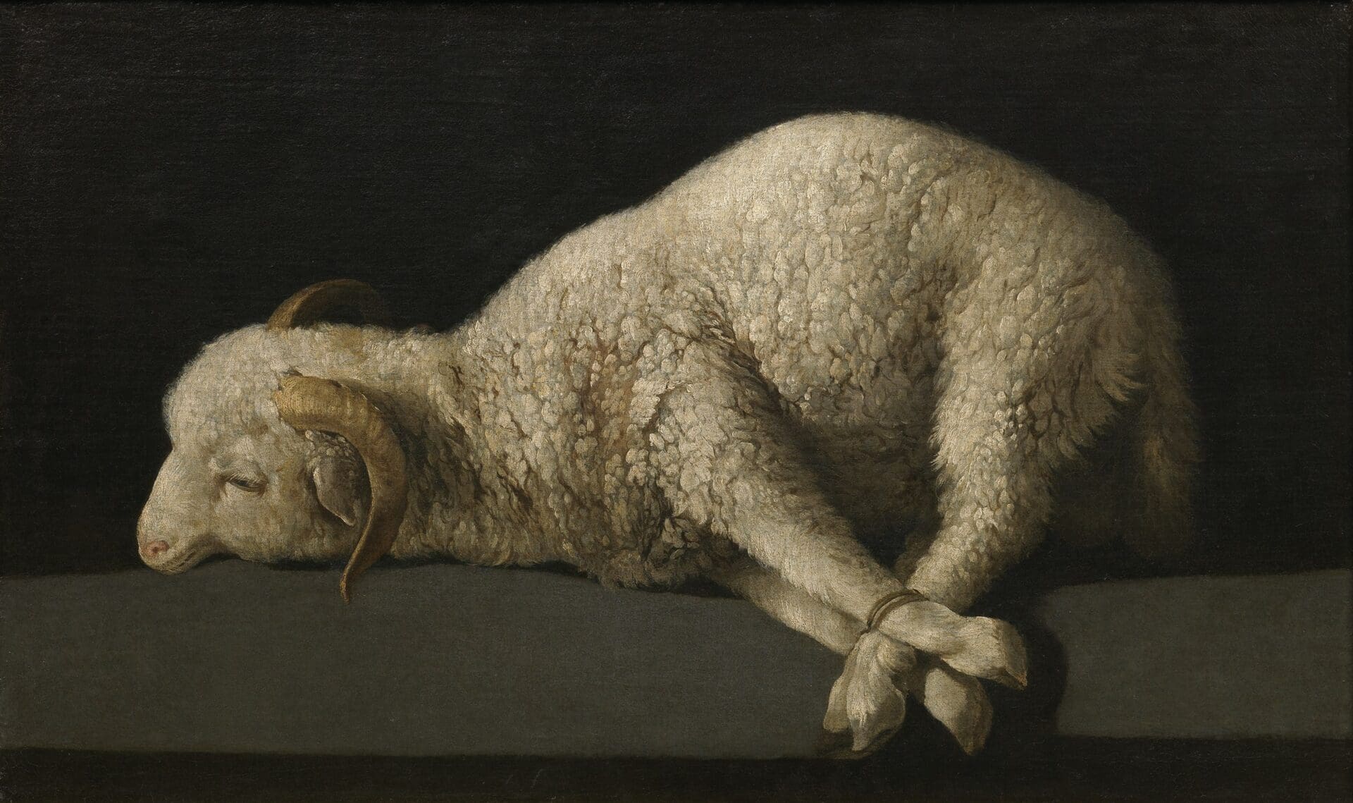 passover lamb exodus