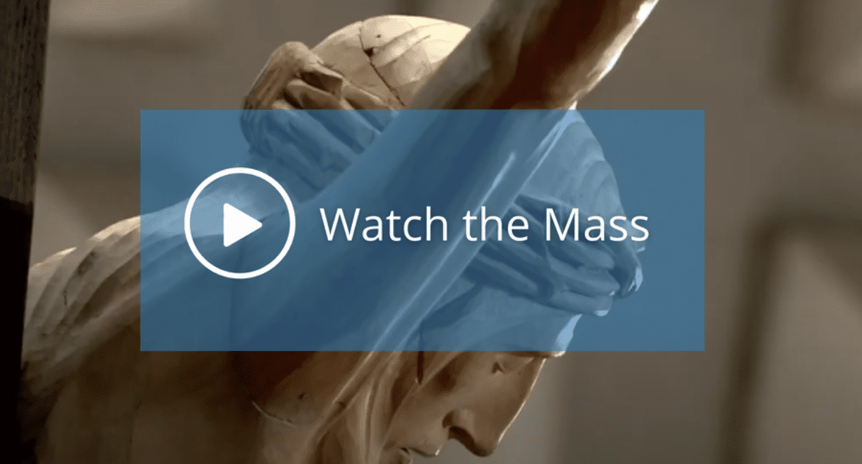 Q: Does watching a Televised Mass fulfil one’s Sunday obligation?